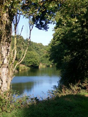 Pique-nique aux etangs de lantic Lantic