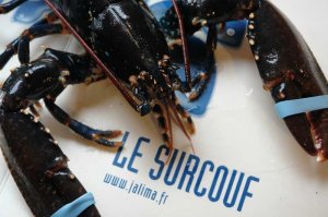 Le Surcouf Roscoff