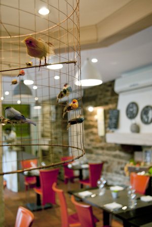 Le Youpala Bistrot Saint-Brieuc